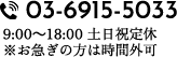 03-6915-5033