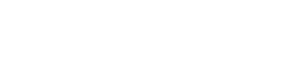 Disper Co., Ltd.